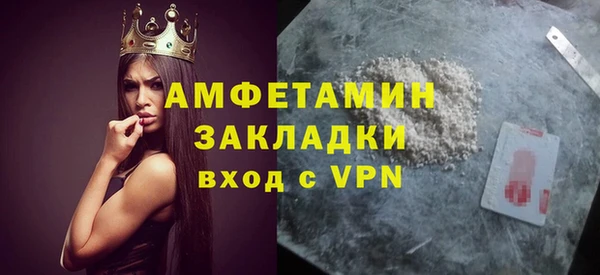 молекула духа Арсеньев