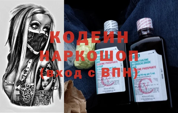 молекула духа Арсеньев