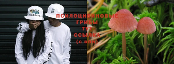 твердый Белокуриха