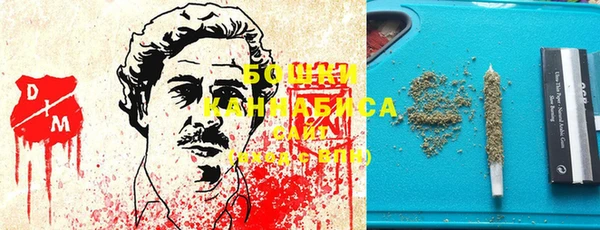 прущие грибы Аркадак