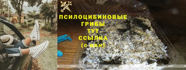 молекула духа Арсеньев