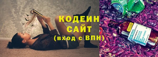 молекула духа Арсеньев