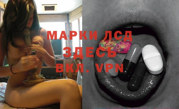 прущие грибы Аркадак