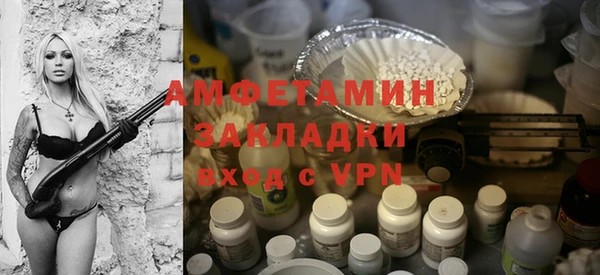 молекула духа Арсеньев