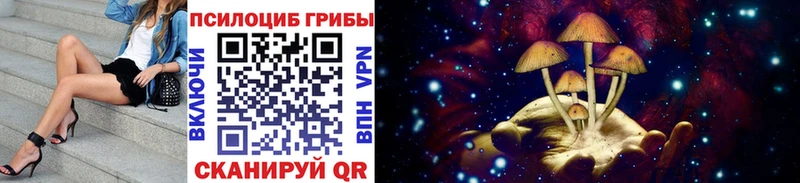 где продают наркотики Коломна Псилоцибиновые грибы Cubensis