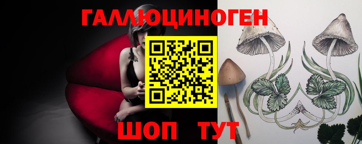 Галлюциногенные грибы Psilocybine cubensis Коломна